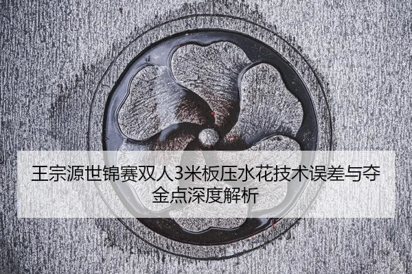 wang-zong-yuan-shi-jin-sai-shuang-ren-mi-ban-ya-shui-hua-ji-shu-wu-cha-yu-duo-jin-dian-shen-du-jie-xi-2-974.jpg